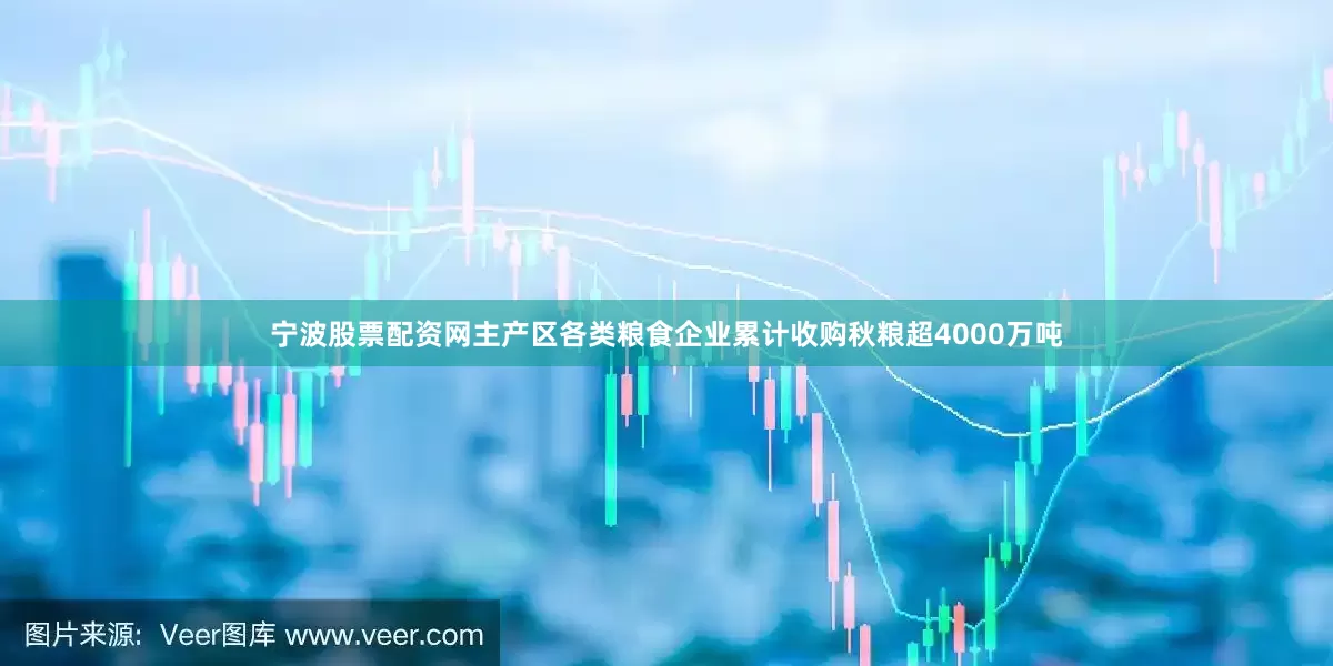 宁波股票配资网主产区各类粮食企业累计收购秋粮超4000万吨