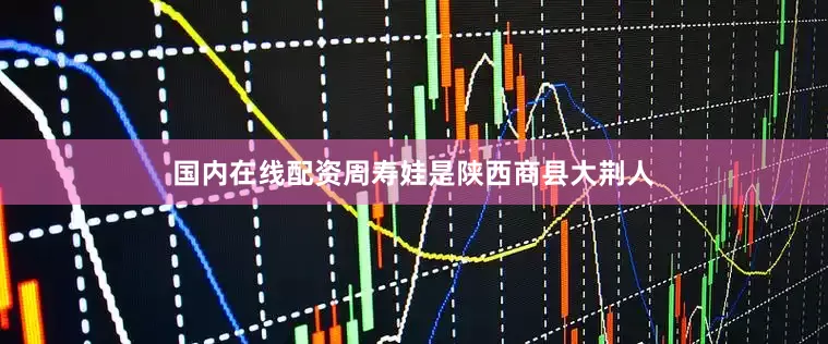国内在线配资周寿娃是陕西商县大荆人