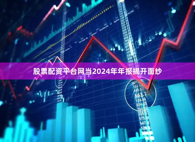 股票配资平台网当2024年年报揭开面纱