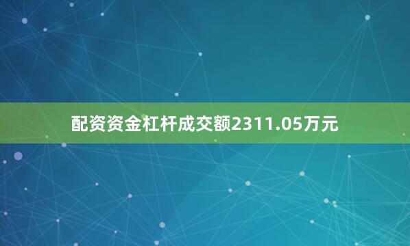 配资资金杠杆成交额2311.05万元