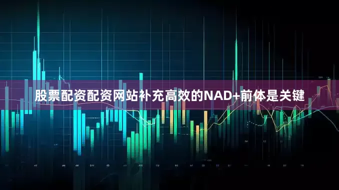 股票配资配资网站补充高效的NAD+前体是关键