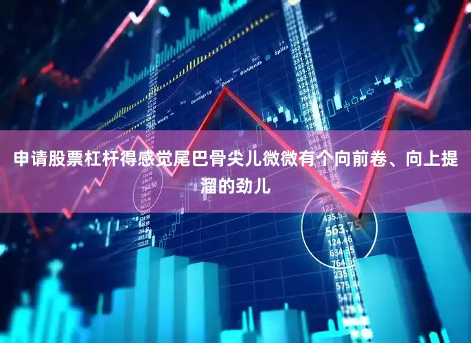 申请股票杠杆得感觉尾巴骨尖儿微微有个向前卷、向上提溜的劲儿