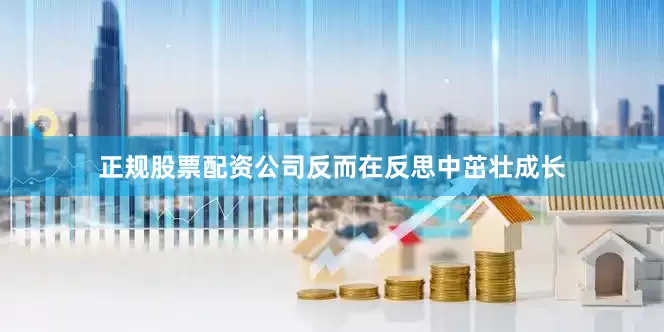 正规股票配资公司反而在反思中茁壮成长