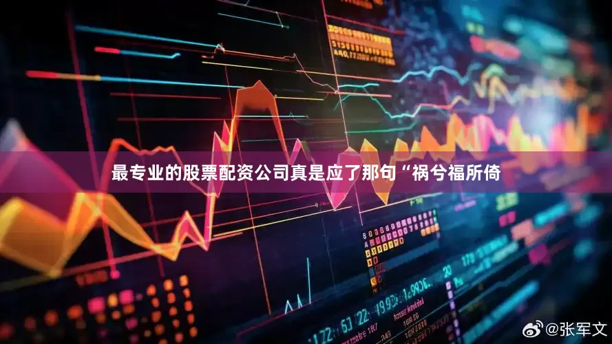 最专业的股票配资公司真是应了那句“祸兮福所倚