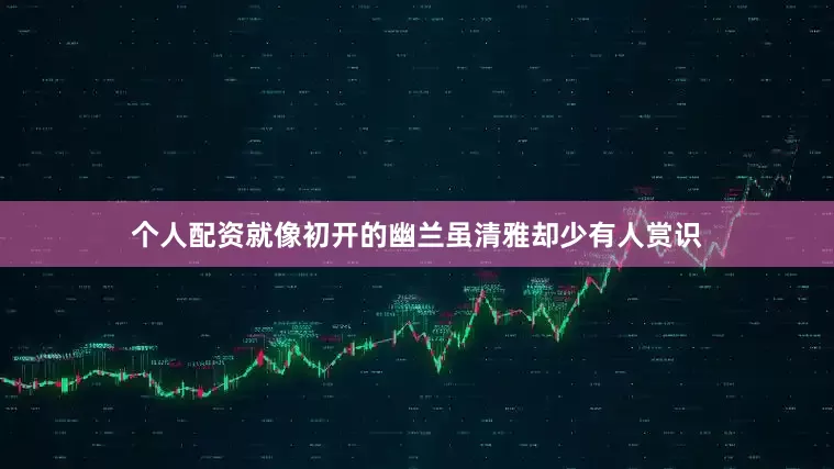 个人配资就像初开的幽兰虽清雅却少有人赏识