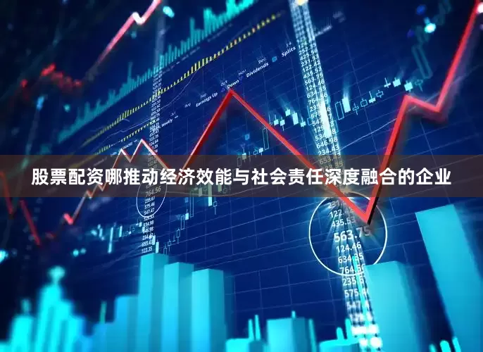 股票配资哪推动经济效能与社会责任深度融合的企业