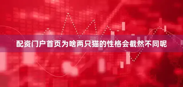 配资门户首页为啥两只猫的性格会截然不同呢