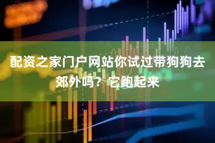 配资之家门户网站你试过带狗狗去郊外吗？它跑起来